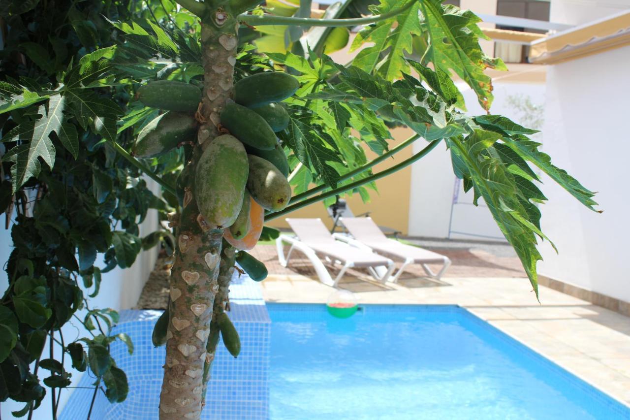 Casa El Olivo, Tenerife Valle de San Lorenzo ภายนอก รูปภาพ