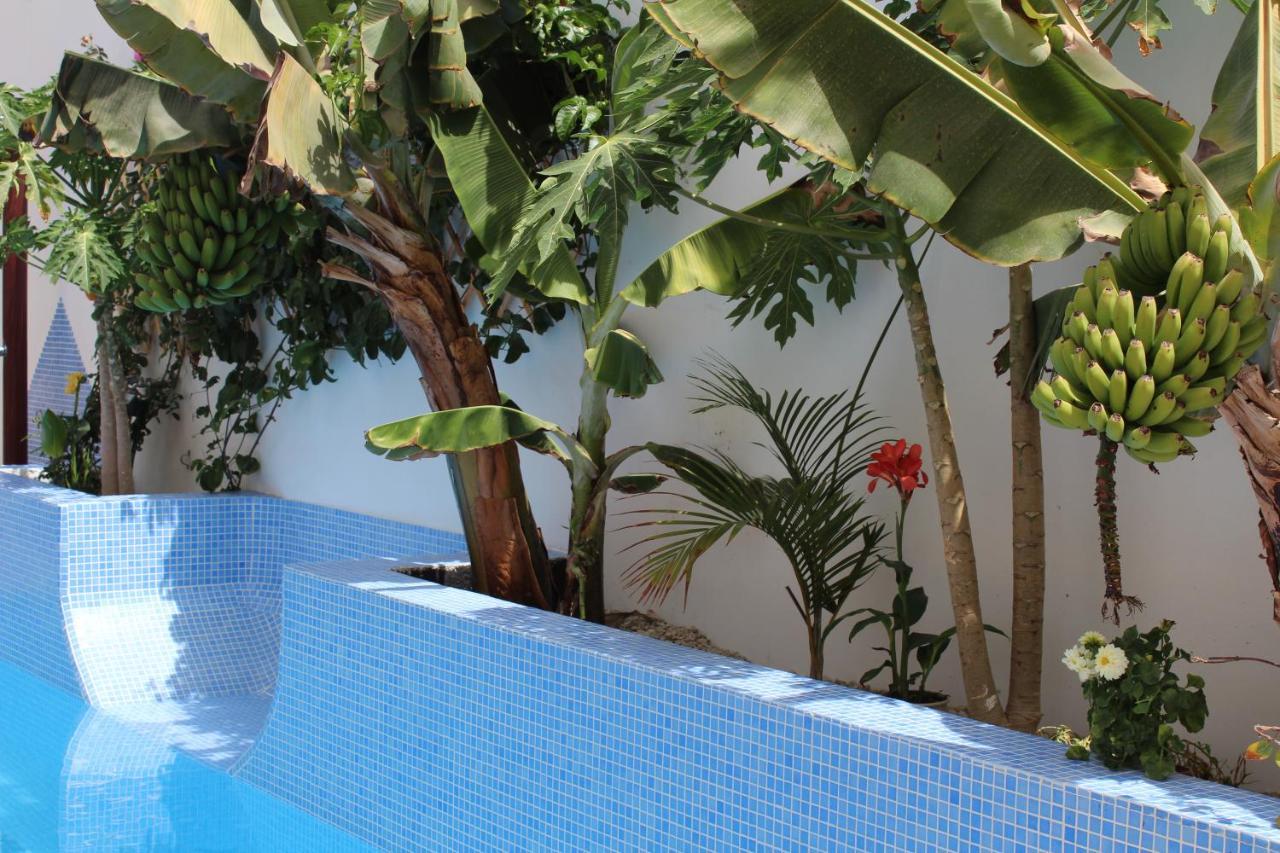 Casa El Olivo, Tenerife Valle de San Lorenzo ภายนอก รูปภาพ